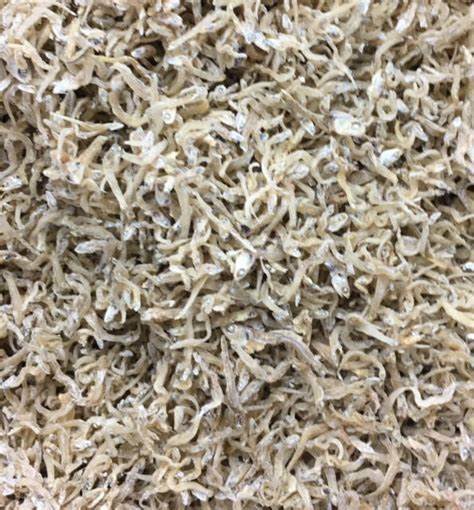 100g Small Dilis / Bolinao