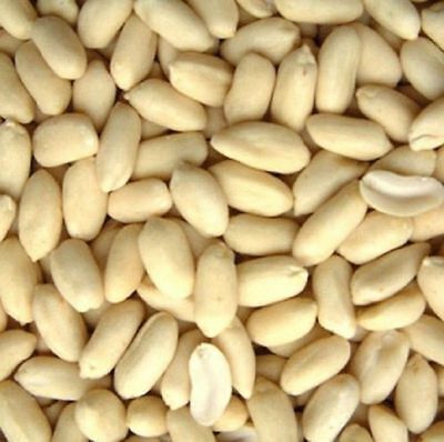 PEANUT BLANCHED 1KG